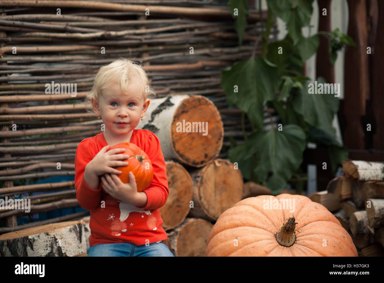 A girl holds a pumpkin Stock Photo - Alamy