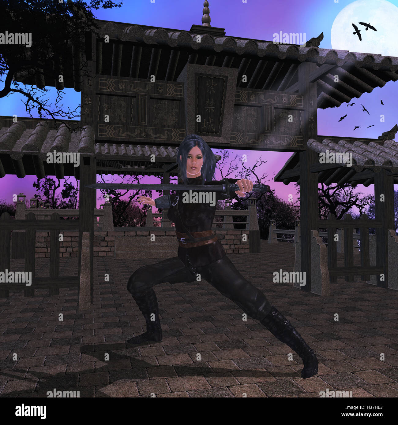 Samurai Assassin Stock Photo