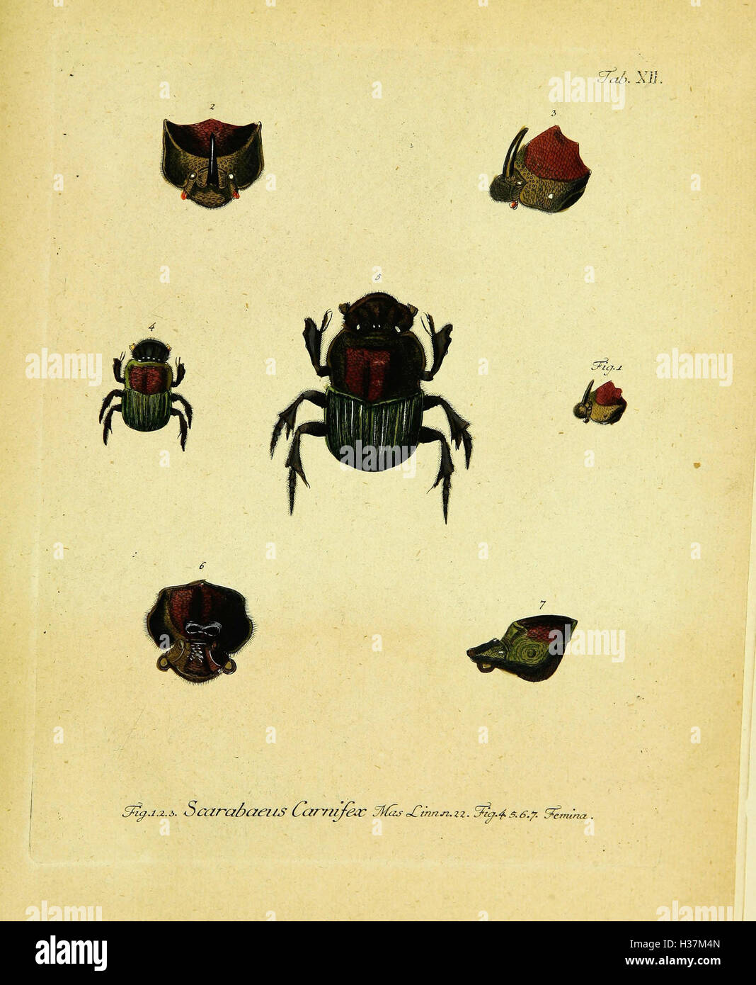 Hard sciences hi-res stock photography and images - Alamy