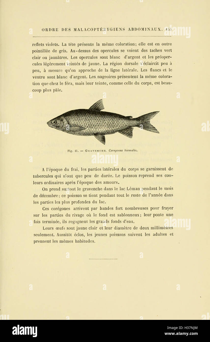 This section provides a study of fish species, including their ...