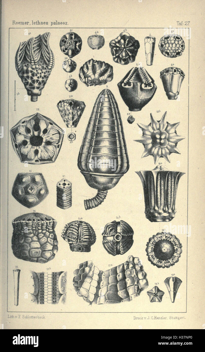 This German text provides detailed descriptions and illustrations of ...