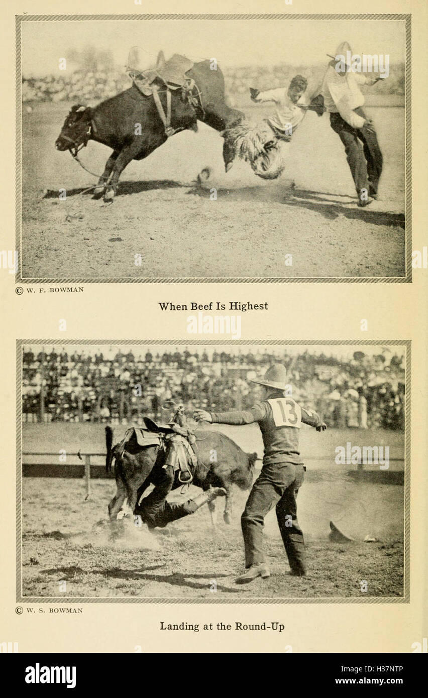 This text explores the history and significance of rodeo culture ...