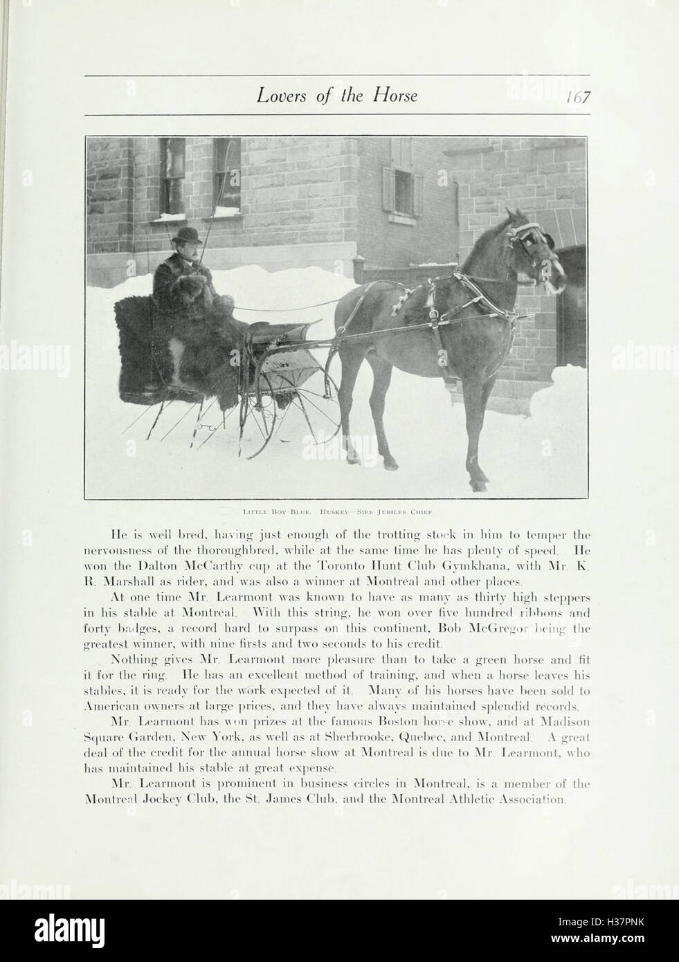 This book examines the relationship between humans and horses ...
