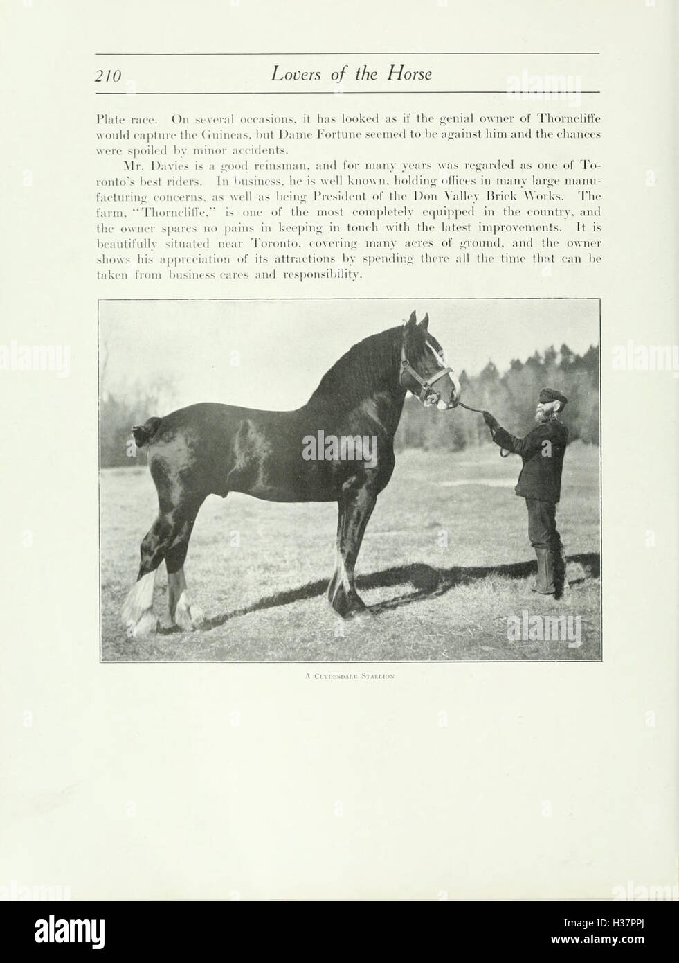 This work explores the bond between humans and horses, detailing the ...