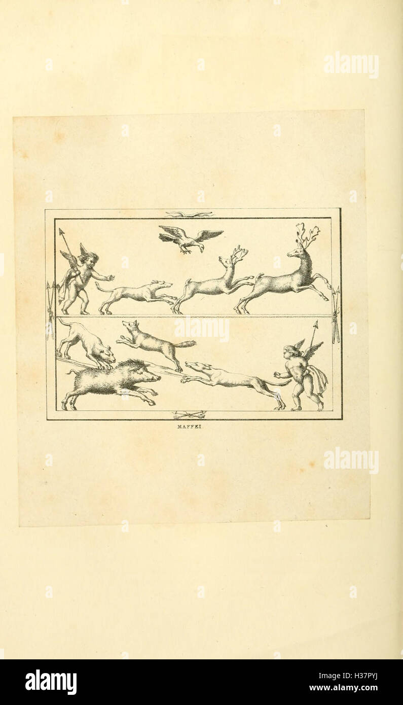 Ancient method of hunting hi-res stock photography and images - Alamy