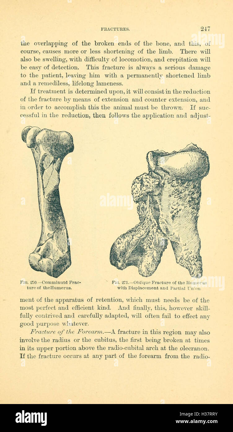 This manual provides a detailed guide to veterinary surgical techniques ...