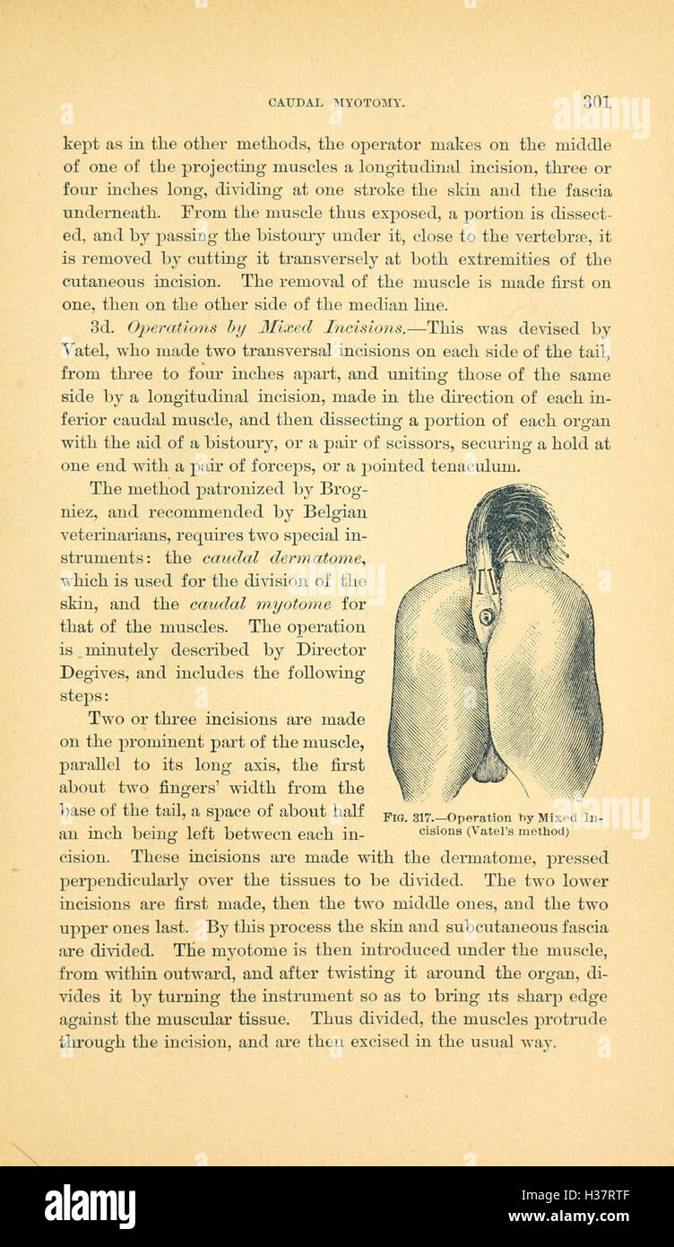 This manual serves as a comprehensive guide to veterinary surgical ...