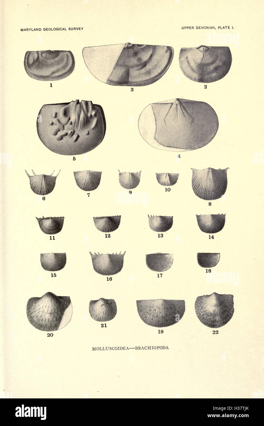 Lewis Documenting Rocks This survey presents a detailed study of the geology of Maryland ...