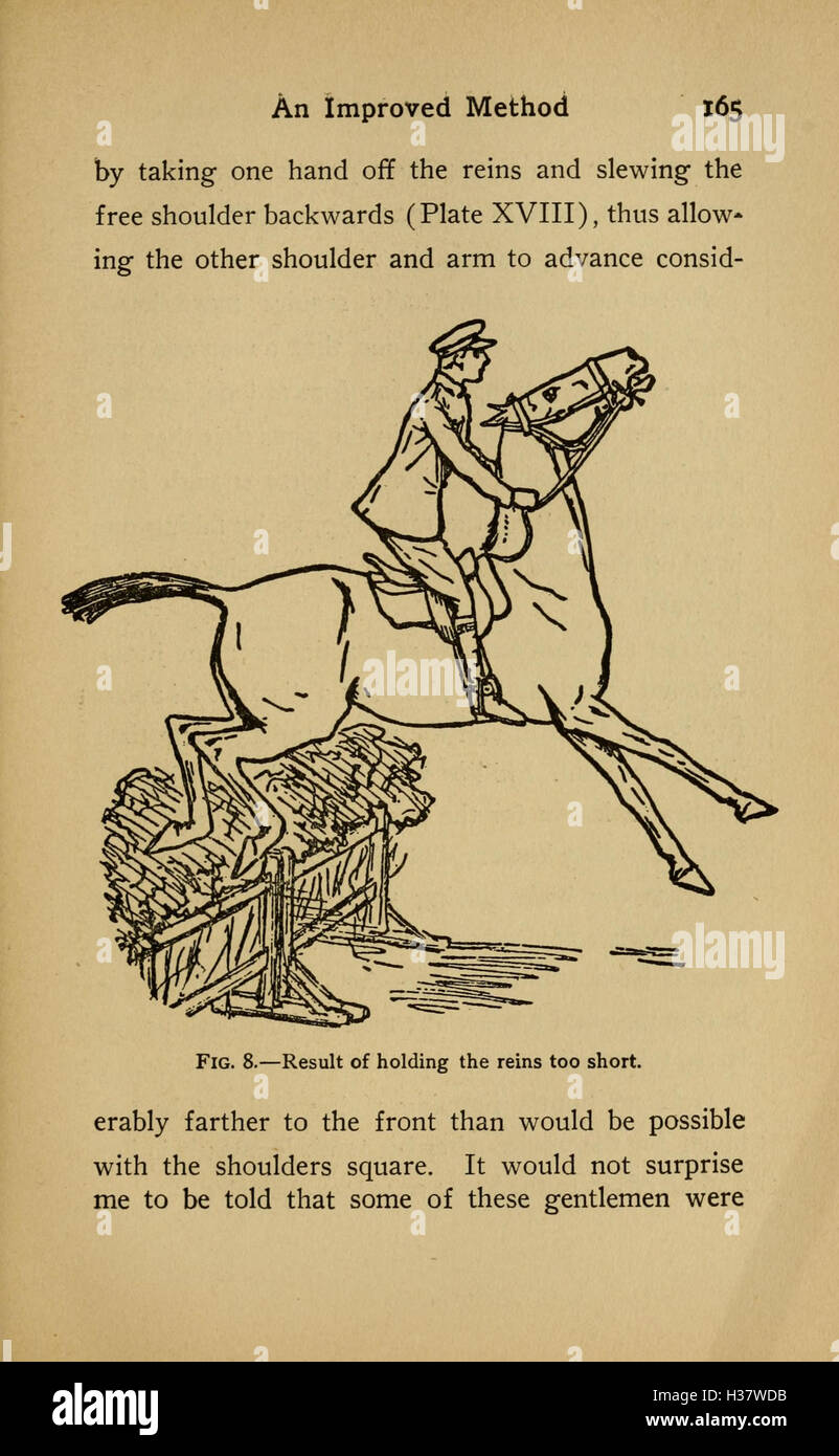 A guide to modern horse riding techniques and education, focusing on ...