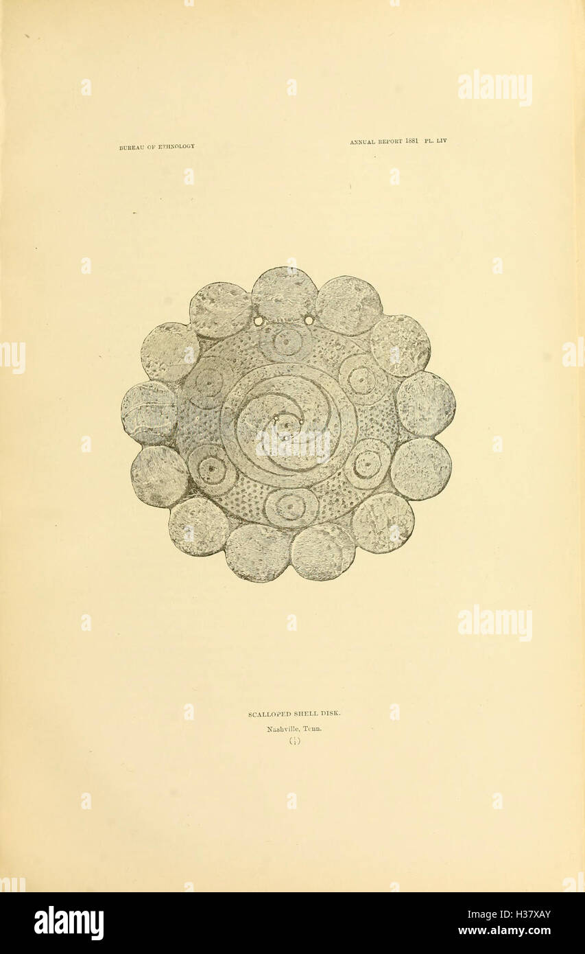 This work examines the art of ancient American civilizations ...