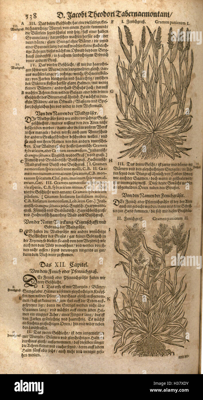 Traditional Effects The book provides a detailed guide to various herbs and their uses in ...