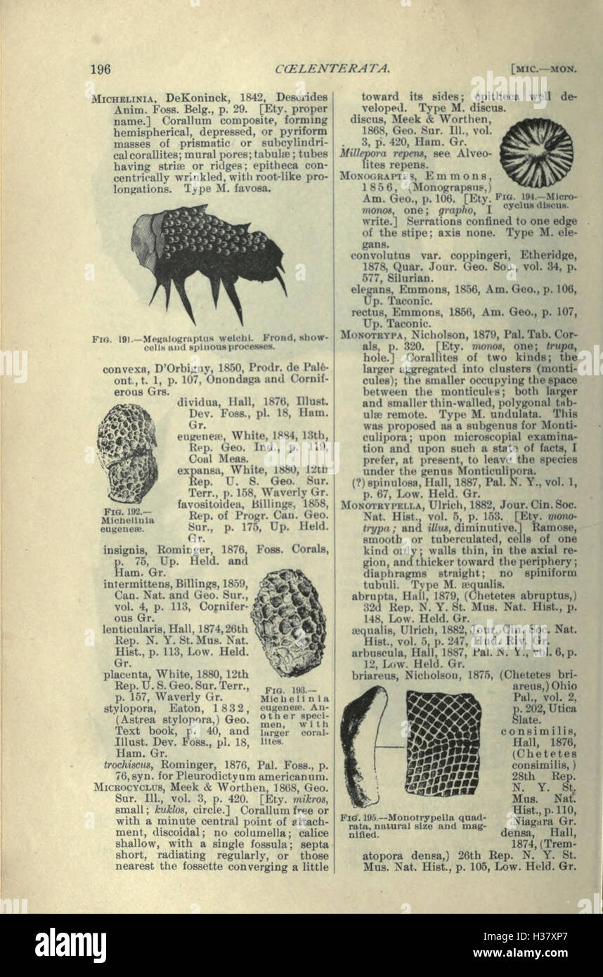 This work serves as an accessible guide to the geology and paleontology ...