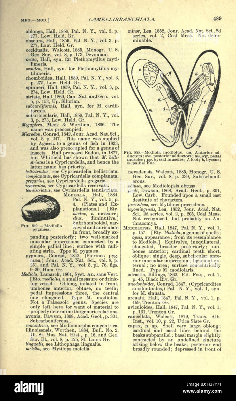 A continuation of the earlier text, this section further explores ...