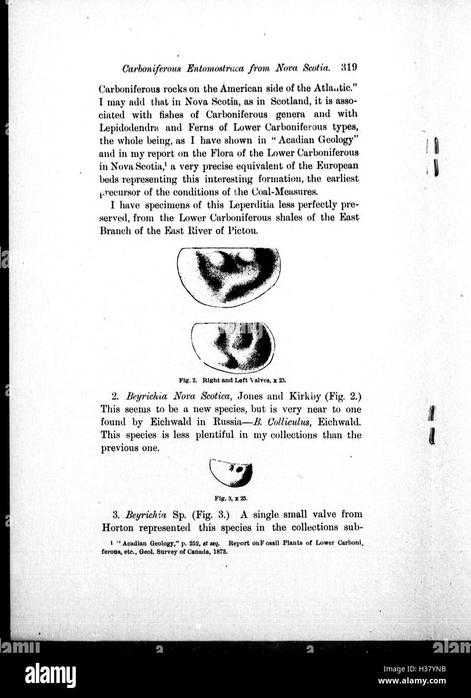 Note on Carboniferous Entomostraca from Nova Scotia, in the Peter Redpath Museum, determined and described by Prof. T. Rupert Jones, F.R. S., and Mr. Kirby BHL266 Stock Photo