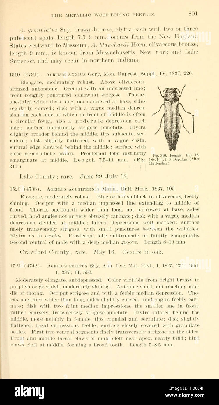 This entomological study documents the species of Coleoptera (beetles ...