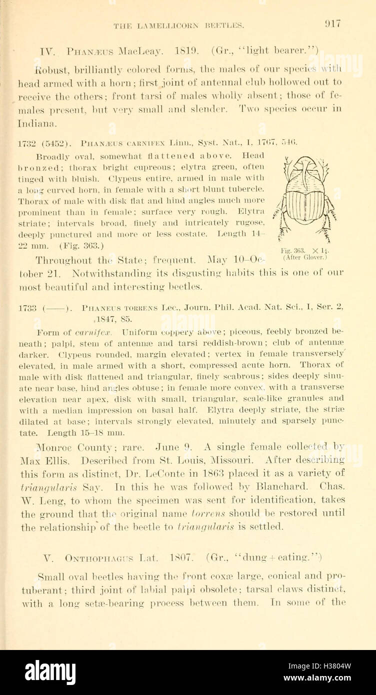 This work provides a detailed study of the Coleoptera species found in ...