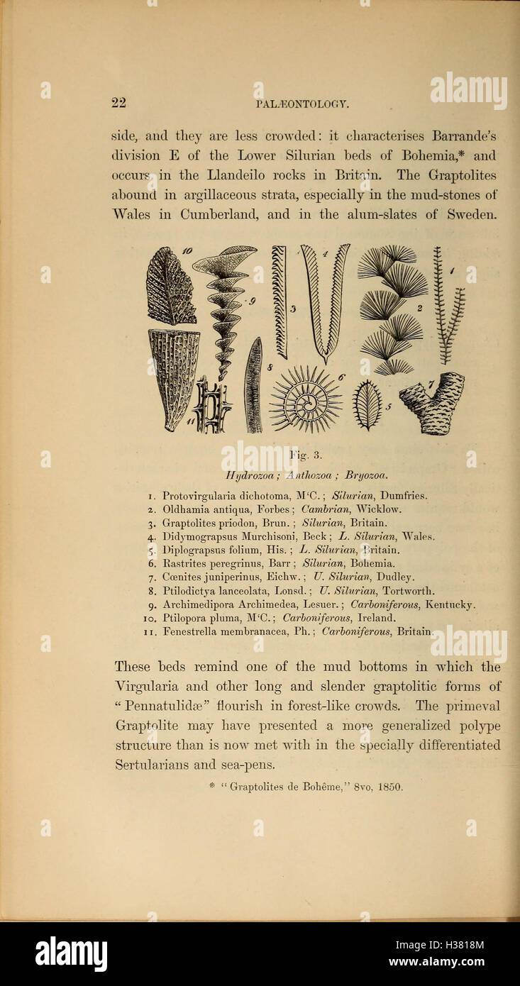 This work provides a systematic summary of extinct animals, their ...