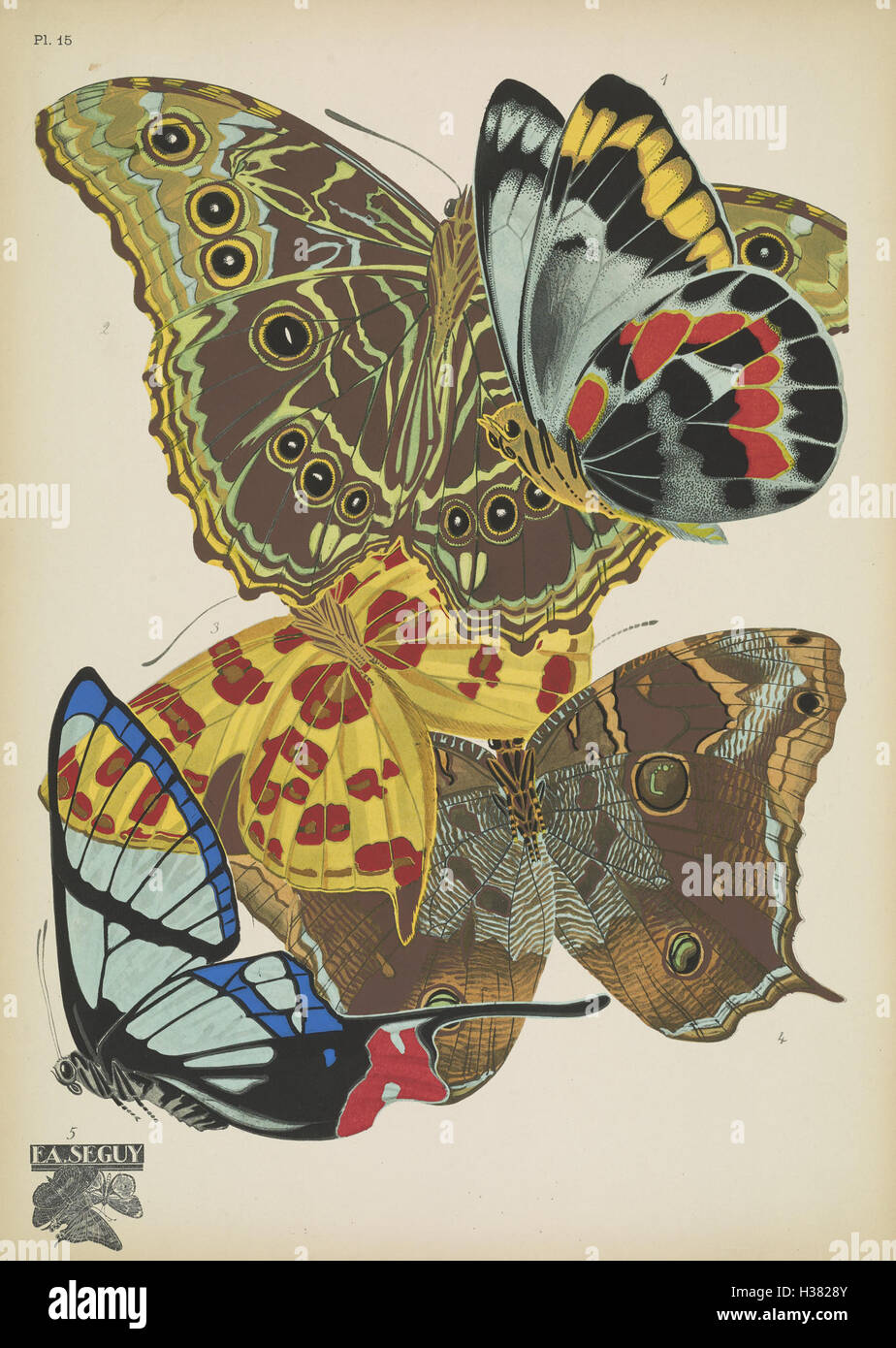 This plate illustrates various butterfly species, focusing on their ...