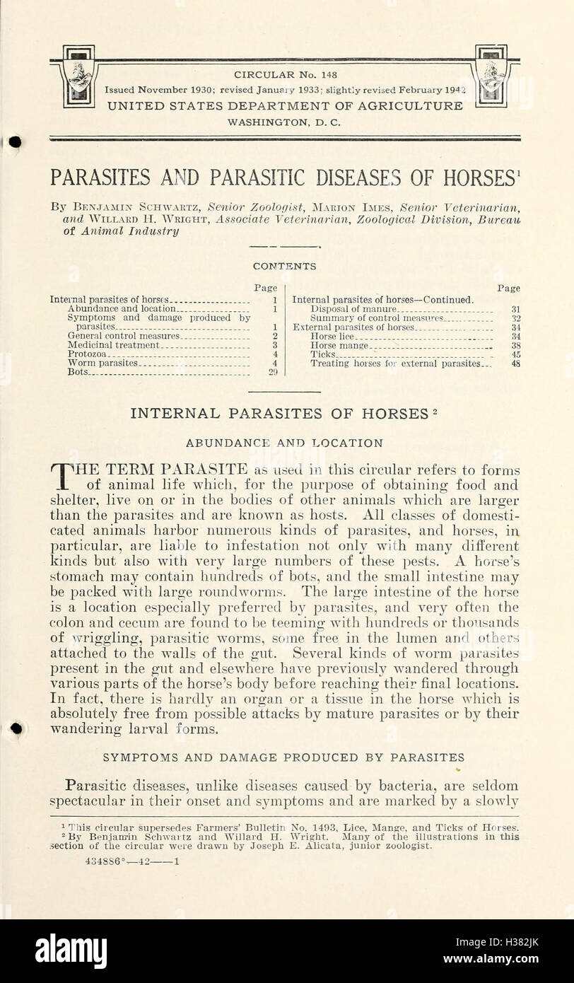 Parasites and parasitic diseases of horses BHL416 Stock Photo Alamy