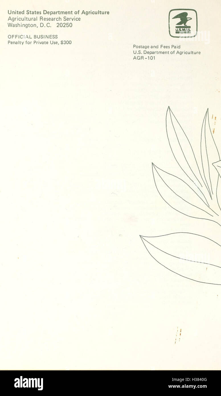 Pesticides and honey bees BHL419 Stock Photo Alamy