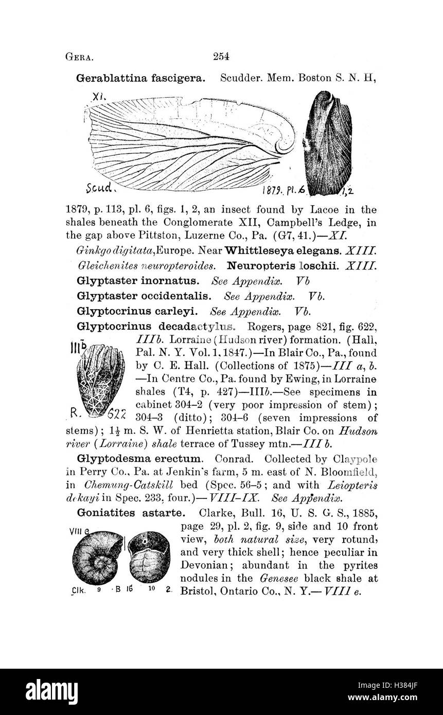 This dictionary provides an extensive catalog of fossils from