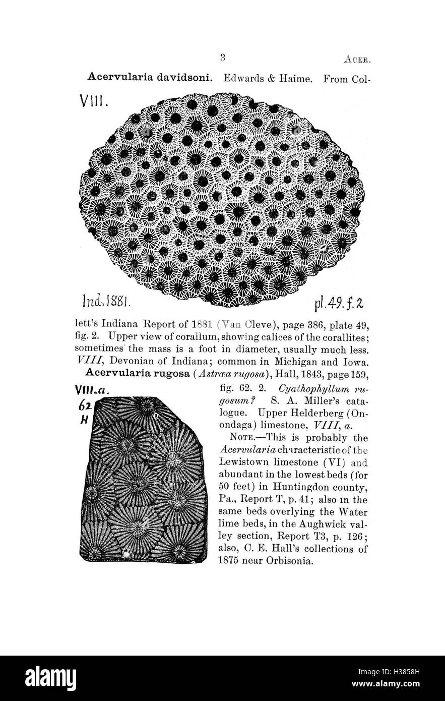 A dictionary of the fossils of Pennsylvania and neighboring states named in the reports and