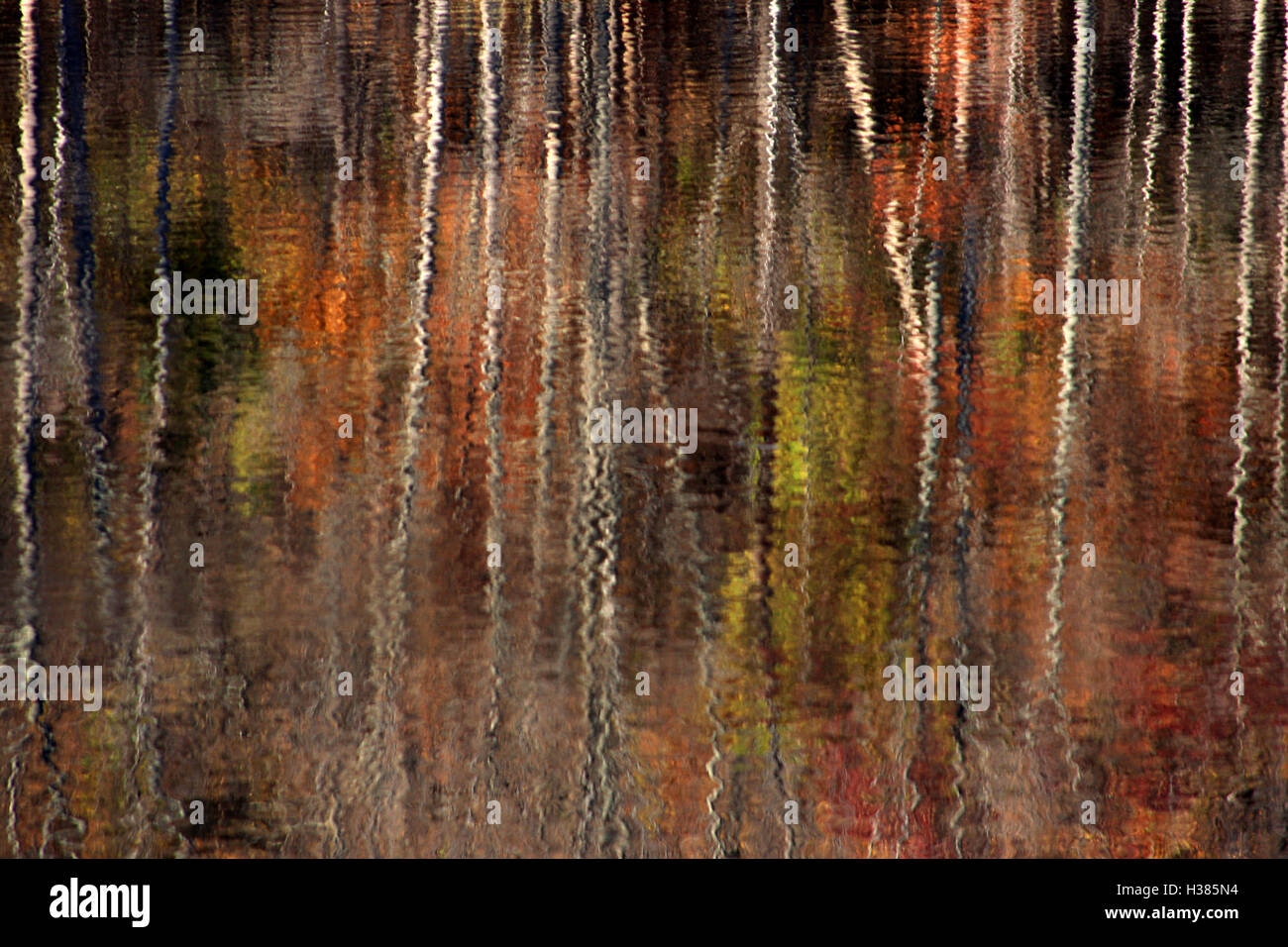 Image of trees in autumn colors reflected in the water Stock Photo - Alamy