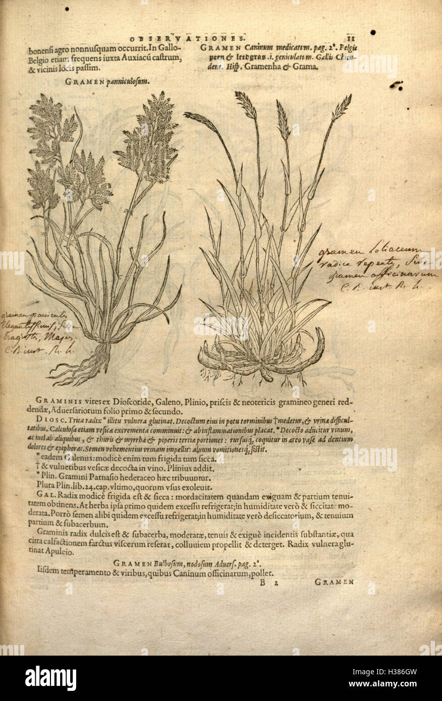 This botanical work focuses on the history and classification of plants ...