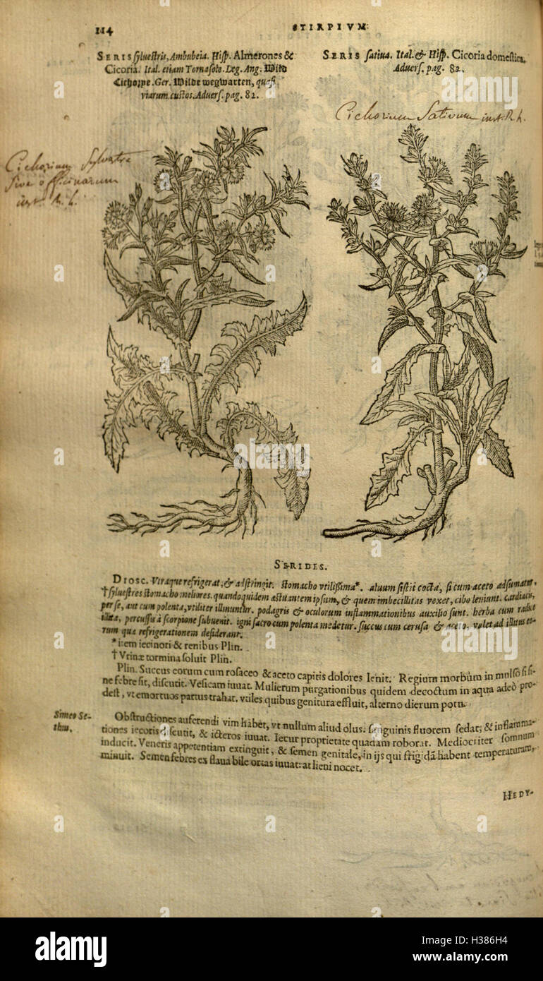 This page features a detailed history of plants and their medicinal uses, as documented in the ...