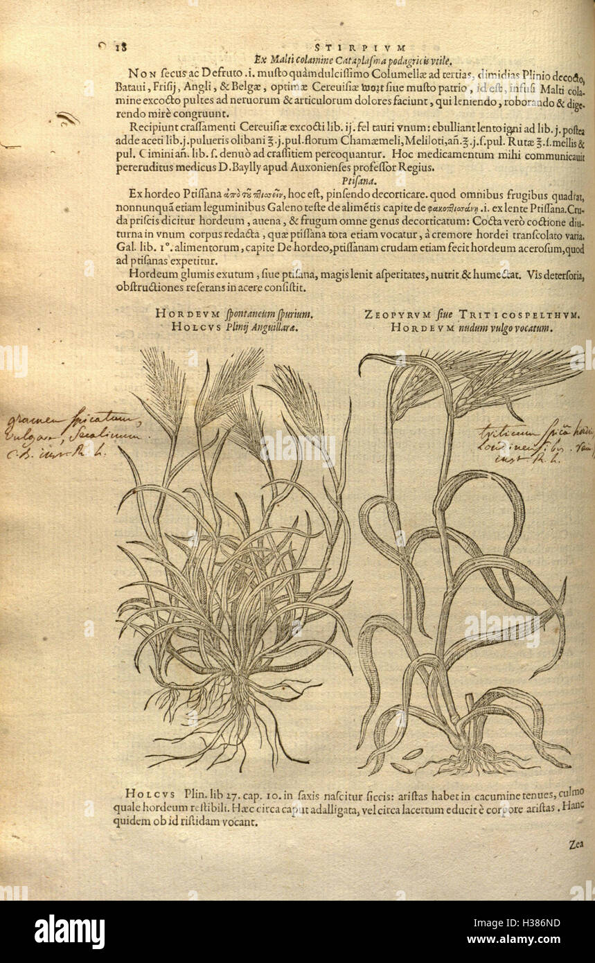 This work focuses on plant species, their classifications, medicinal ...