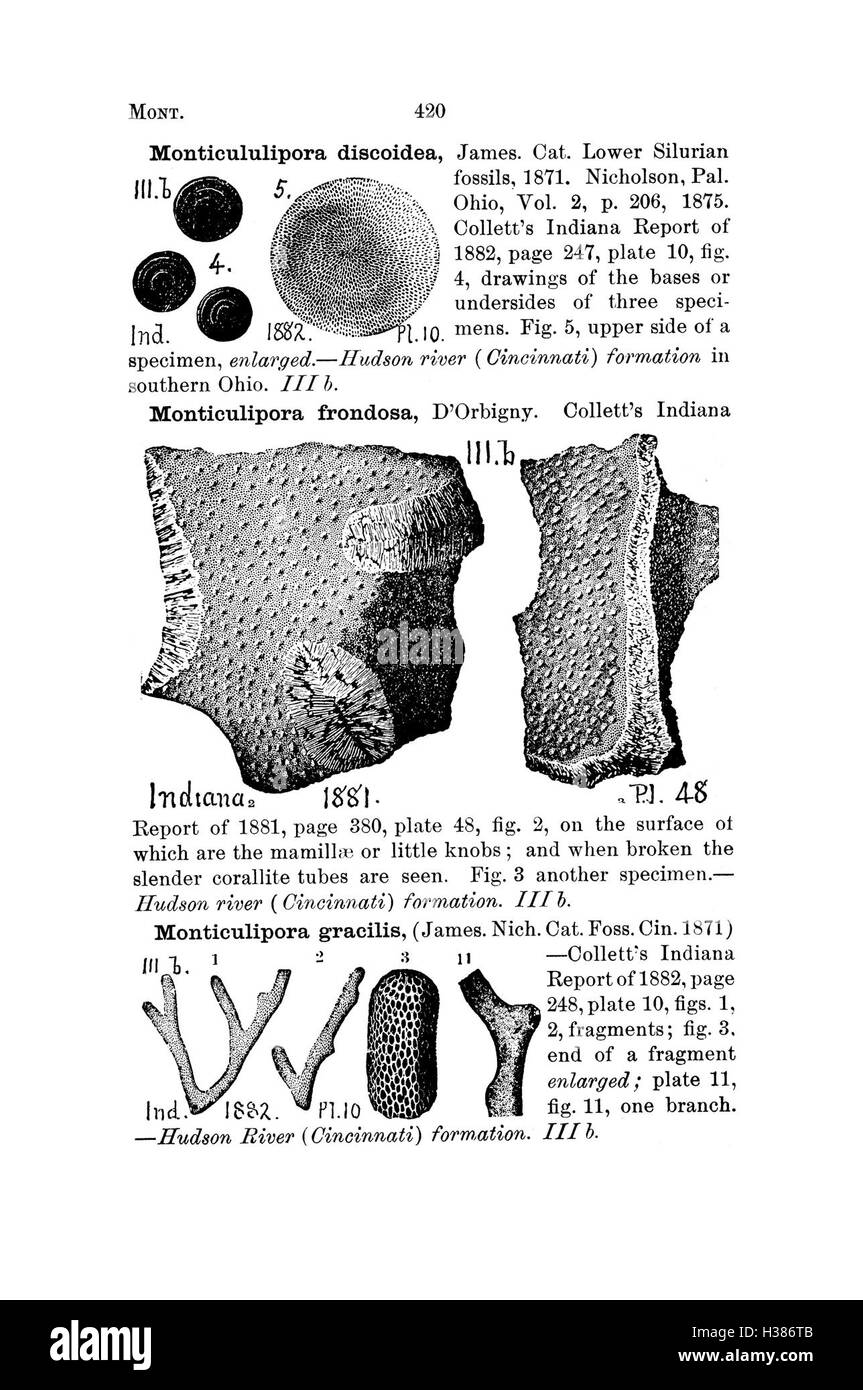 A dictionary of the fossils of Pennsylvania and neighboring states named in the reports and