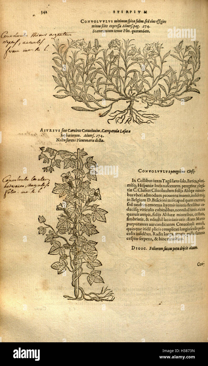 This botanical work focuses on the history and classification of plants ...