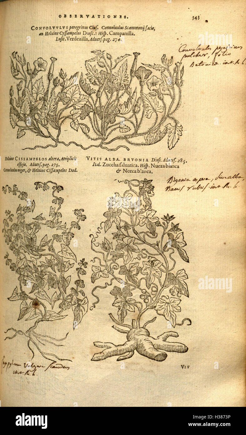 A classical botanical work that offers an in-depth history of plants ...