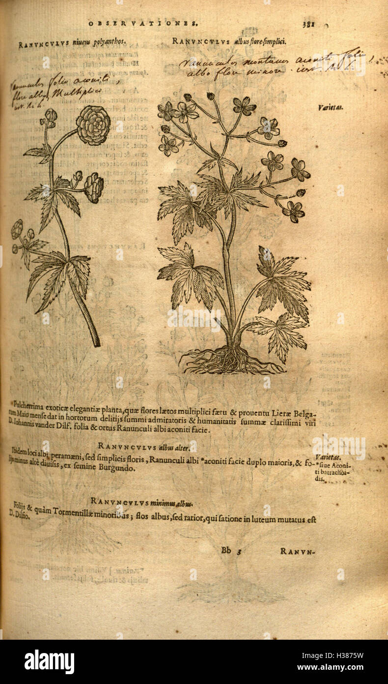 Botanically A historical botanical study documenting the plants and species of the ...