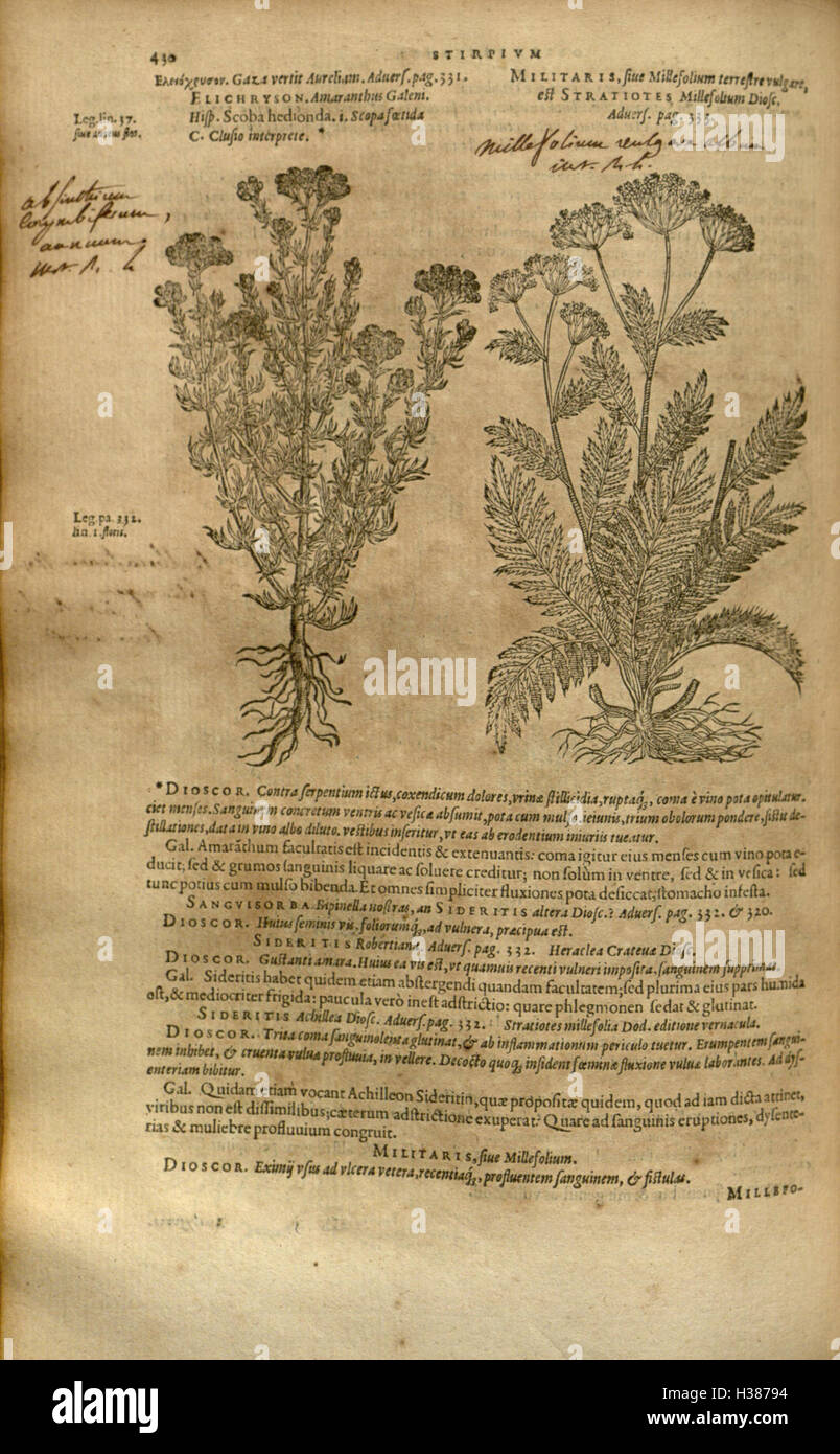 A botanical work cataloging various plant species, focusing on their ...