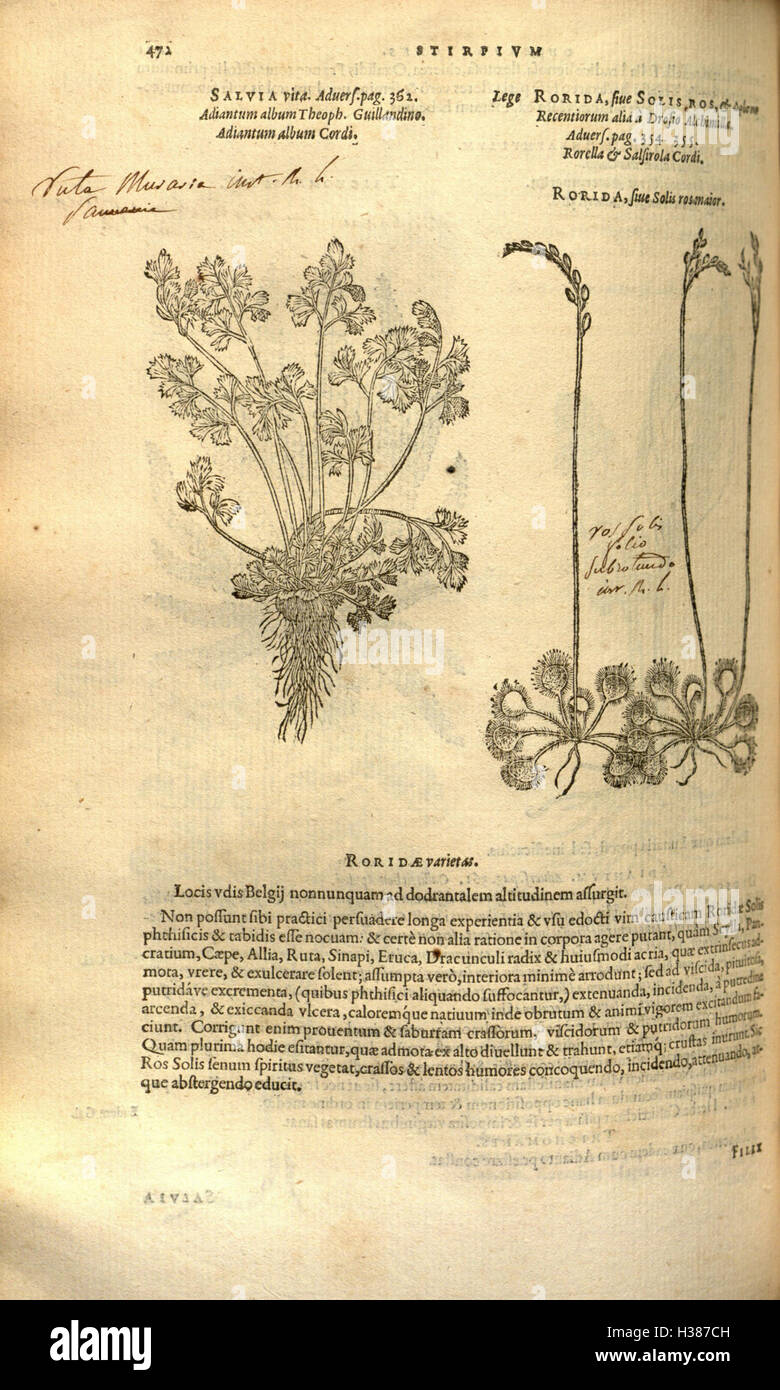 A botanical work that covers the history of plants, focusing on the ...