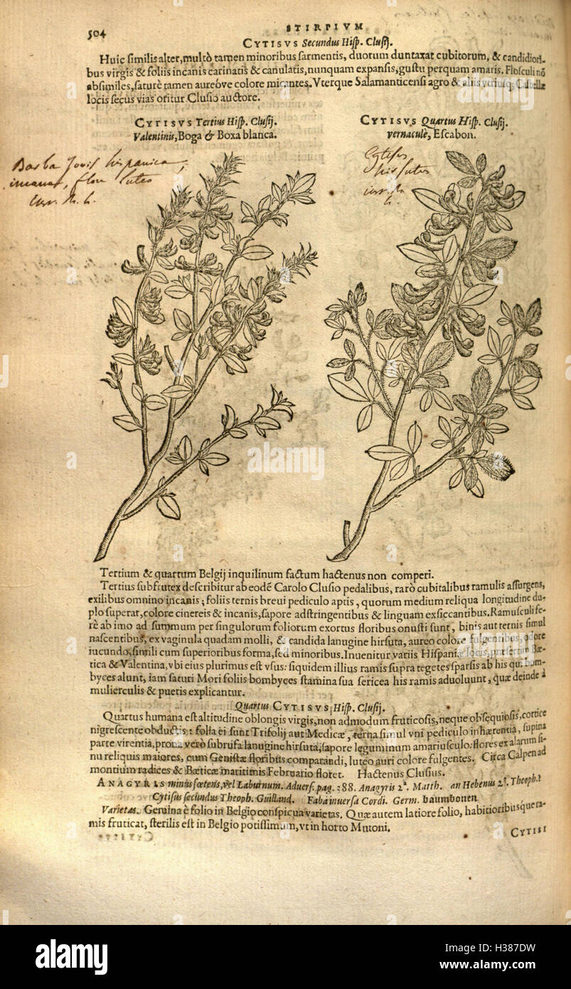 This work provides a detailed description of various plant species ...
