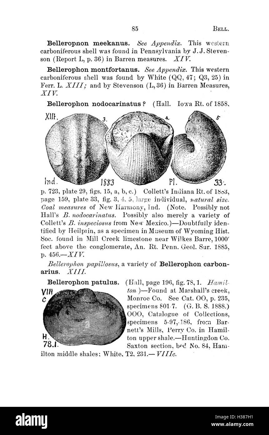 A dictionary of the fossils of Pennsylvania and neighboring states named in the reports and