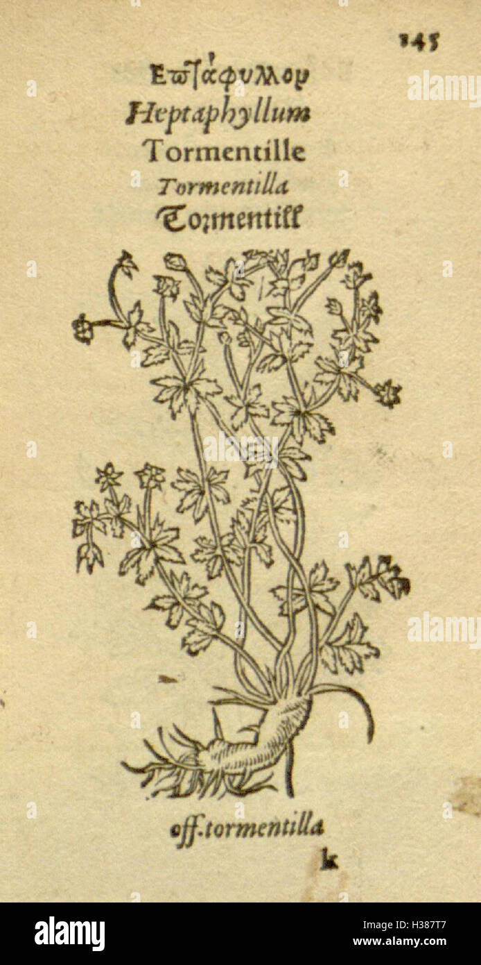 This botanical text provides detailed illustrations of various plant ...