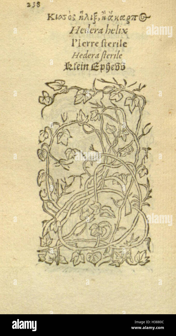 This botanical work provides illustrations and descriptions of various ...