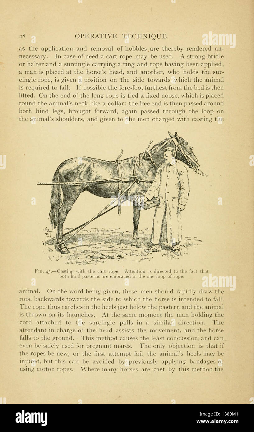 The Practice Of Veterinary Surgery Provides A Comprehensive Guide To