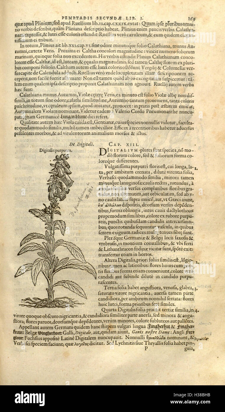 Botanical work examines plants hi-res stock photography and images - Alamy
