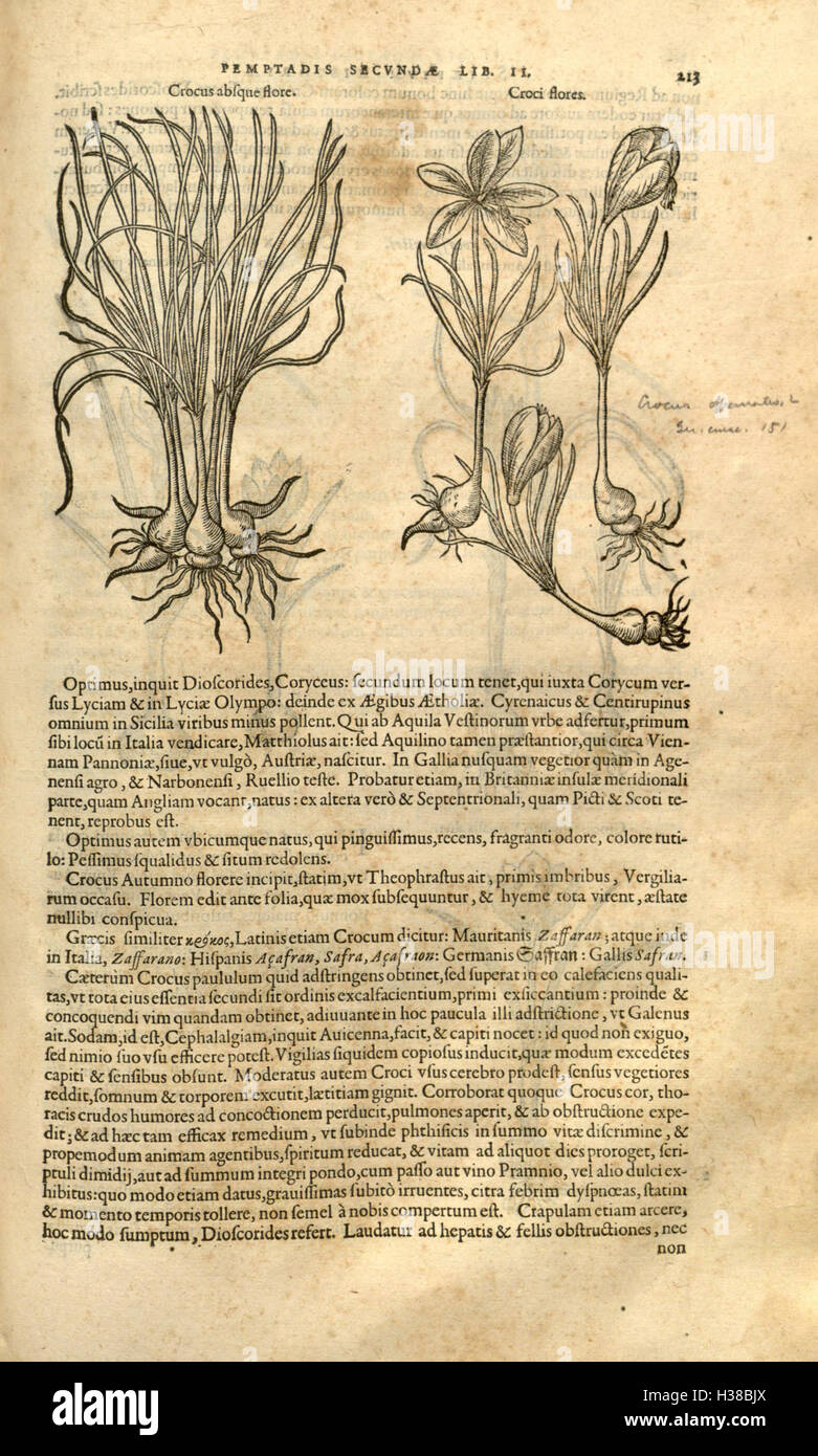 This section of Rembert Dodoens’ botanical work focuses on detailed ...