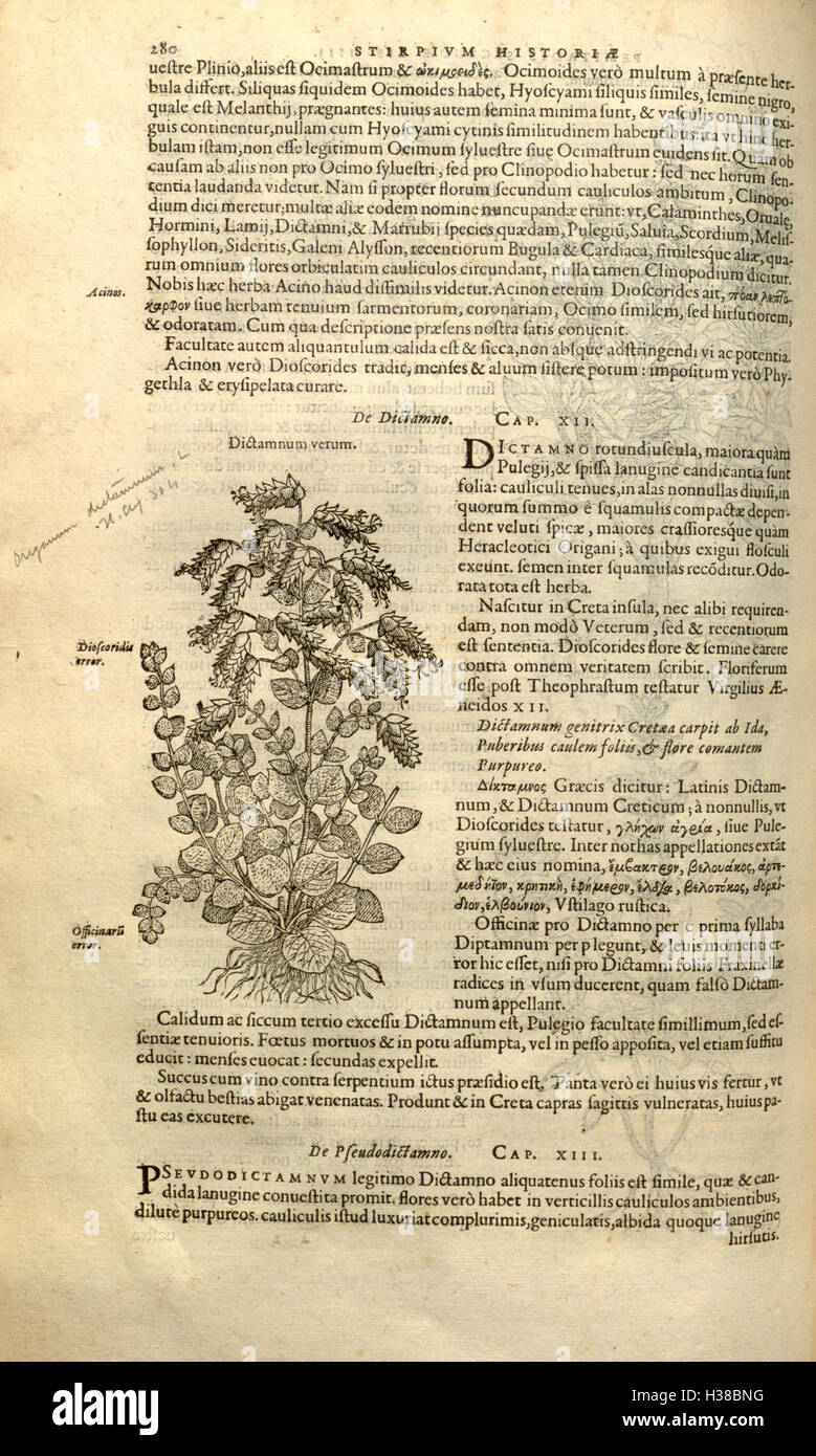 A comprehensive botanical work by Rembert Dodoens on the classification ...