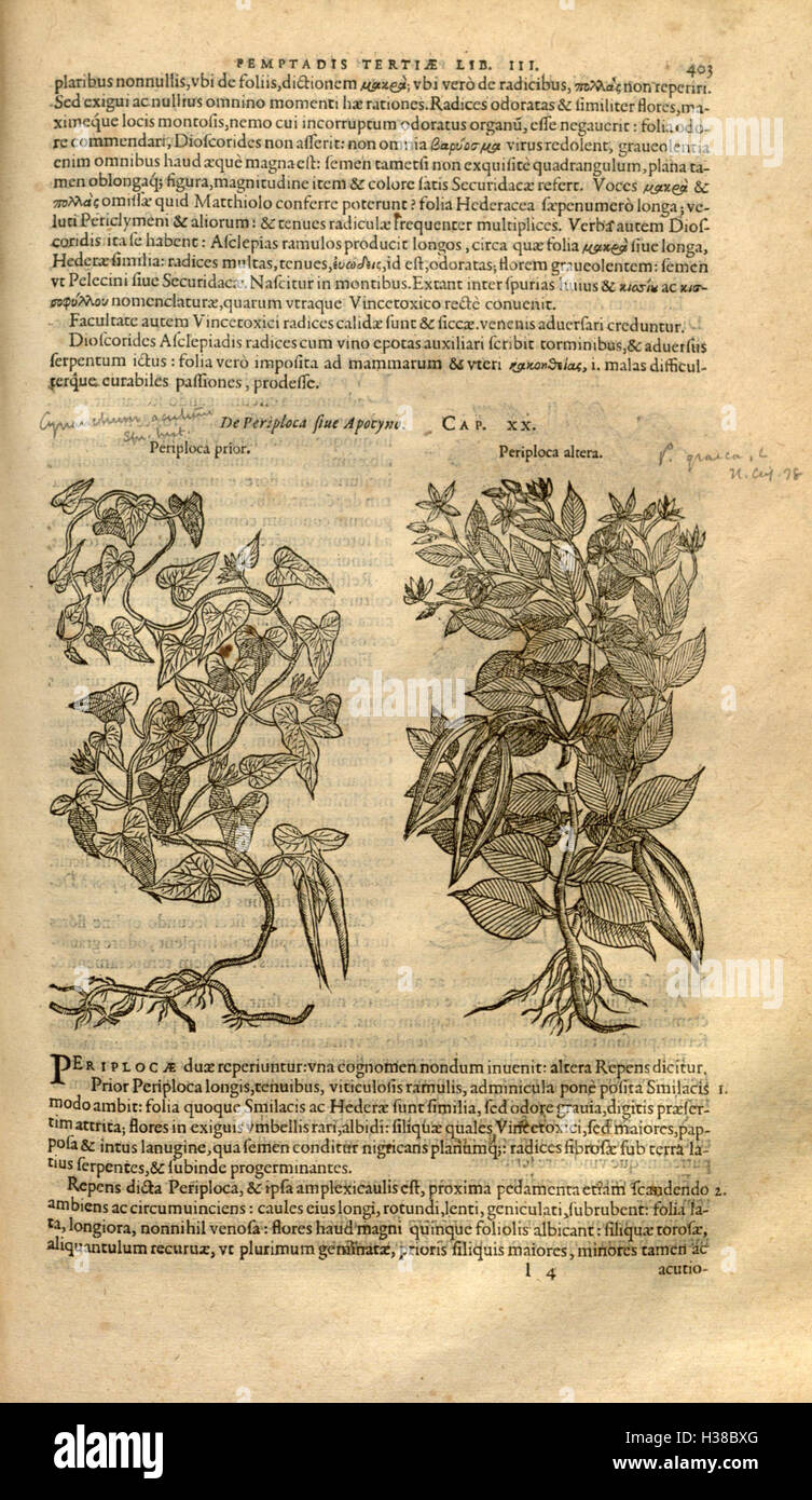 This is an extensive botanical work by Rembert Dodoens, focusing on the ...