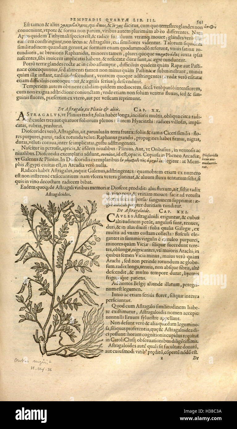 A detailed botanical work by Rembert Dodoens, focusing on the history ...