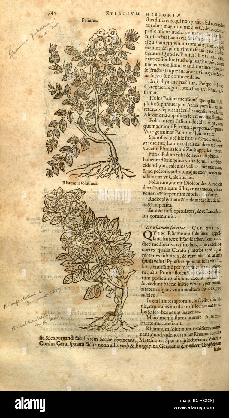 This work by Rembert Dodoens is a botanical history focusing on the ...