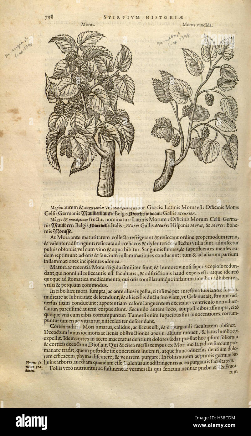 This botanical work by Rembert Dodoens details the history and ...