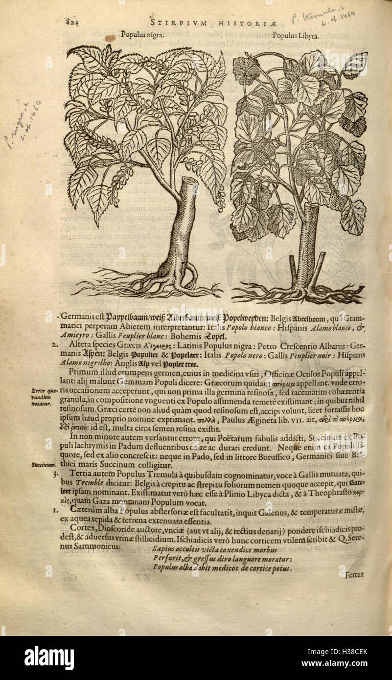 This botanical work by Rembert Dodoens focuses on the history and ...
