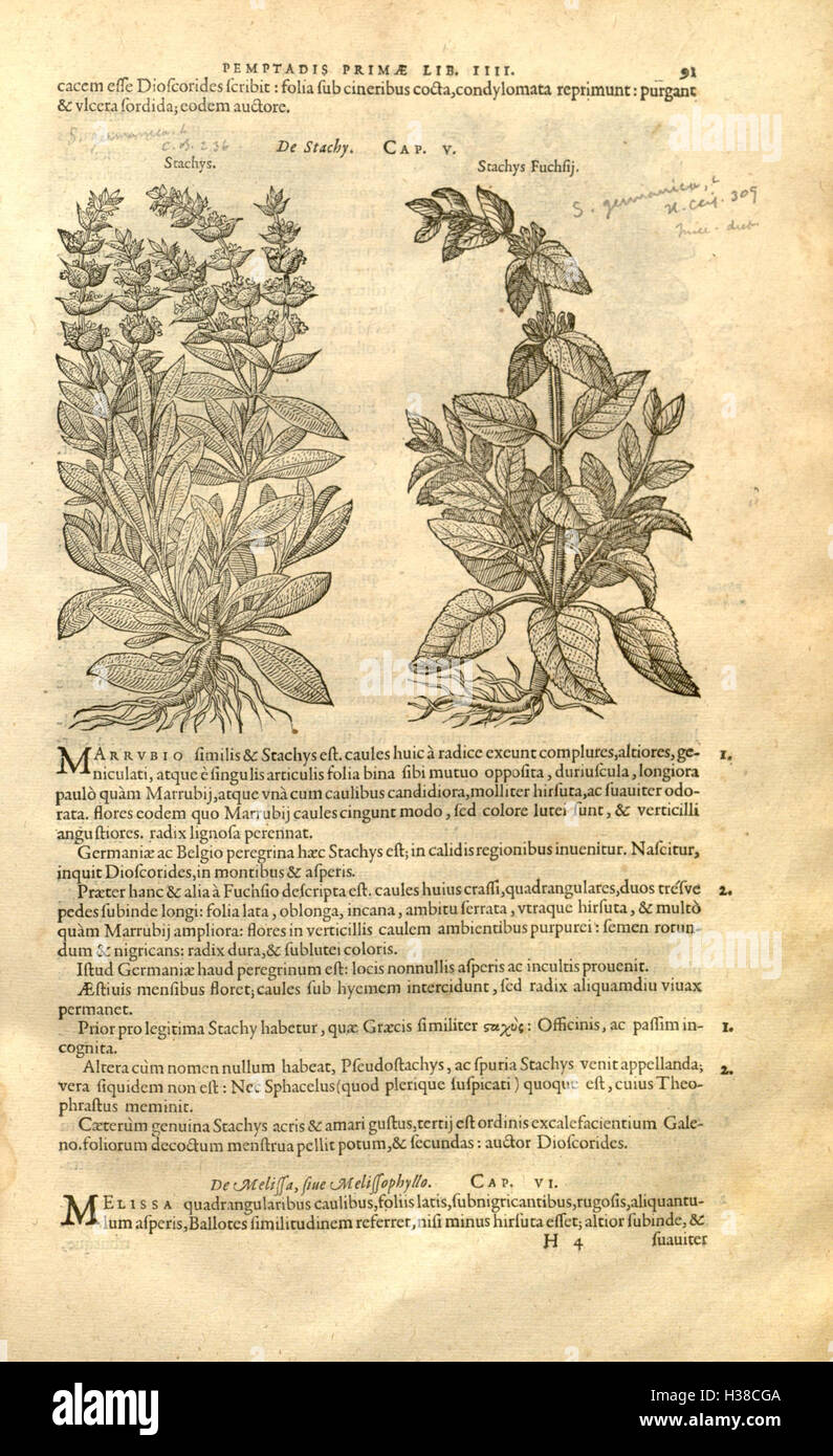 An early botanical work by Rembert Dodoens on the history and ...